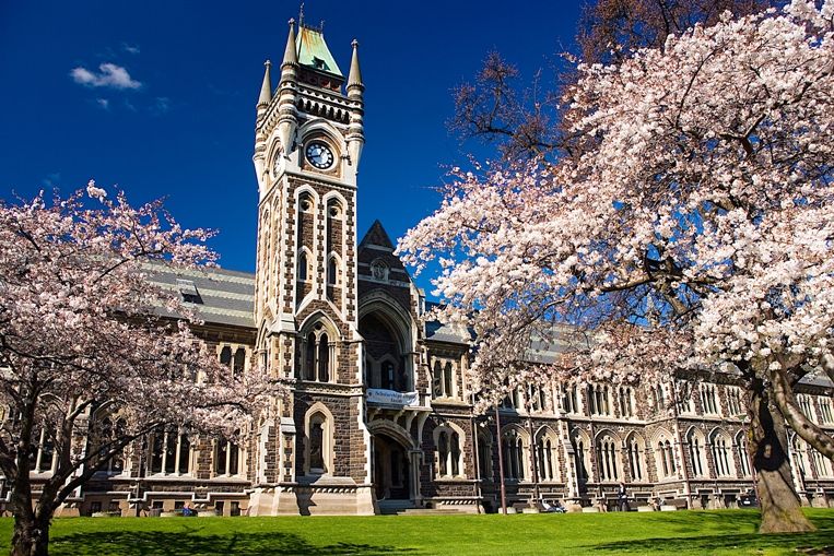 Campus dai hoc tai New Zealand