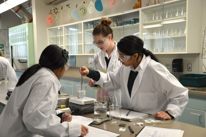 Du học New Zealand nên học ngành gì? Những ngành có triển vọng việc làm