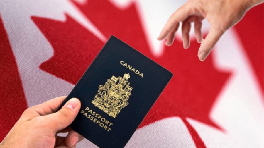 Hiện nay Canada có những loại visa nào? 