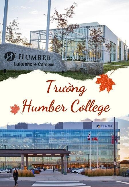Các loại học bổng du học canada tại trường Humber College